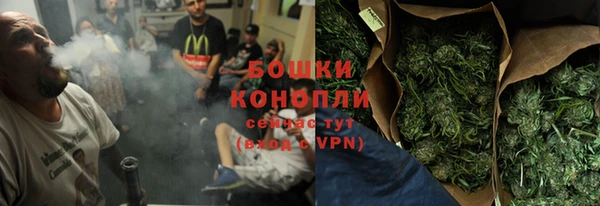 гидра Горно-Алтайск
