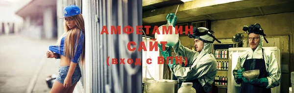 гидра Горно-Алтайск
