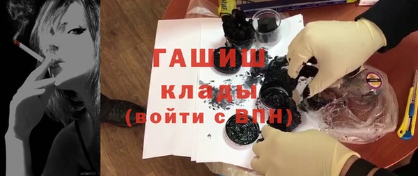 гидра Горно-Алтайск