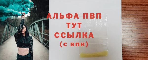 гидра Горно-Алтайск