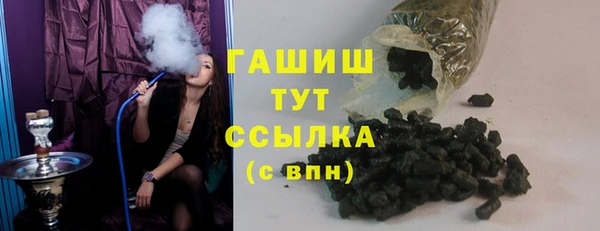 гидра Горно-Алтайск
