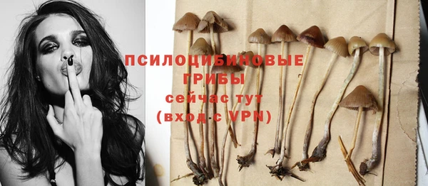 твердый Тайга