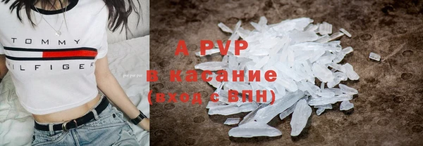 гидра Горно-Алтайск