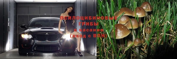 гидра Горно-Алтайск